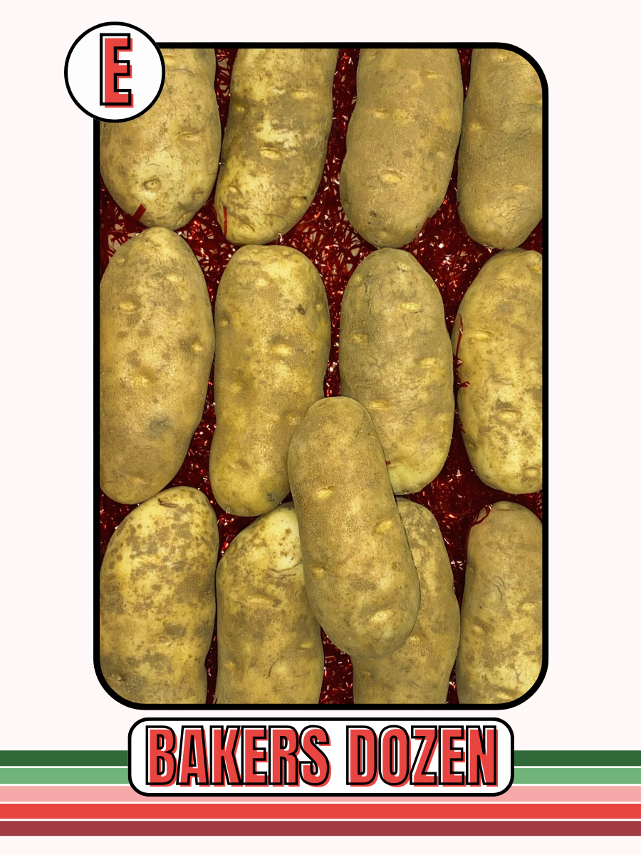 FARINA - SOUTH CENTRAL FFA BOOSTERS HOLIDAY FRUIT SALE