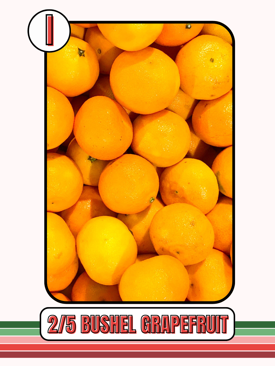 FARINA - SOUTH CENTRAL FFA BOOSTERS HOLIDAY FRUIT SALE