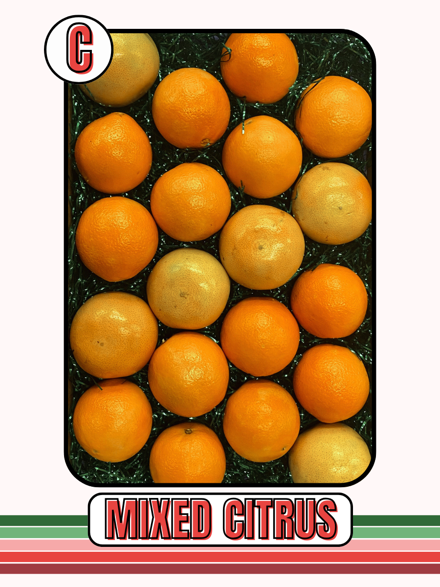 FARINA - SOUTH CENTRAL FFA BOOSTERS HOLIDAY FRUIT SALE