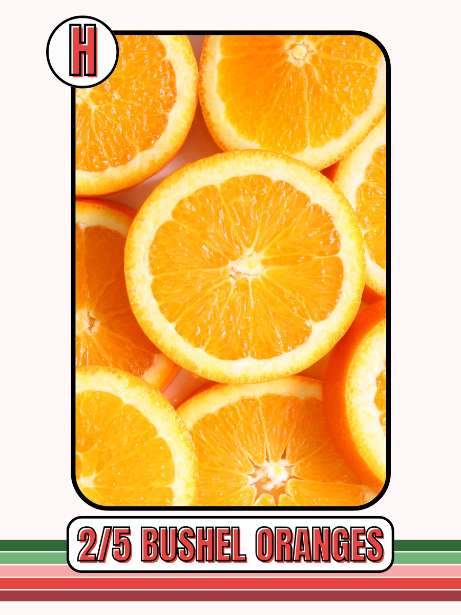 FARINA - SOUTH CENTRAL FFA BOOSTERS HOLIDAY FRUIT SALE